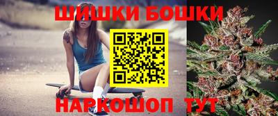 крисы Лесосибирск