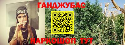 крисы Лесосибирск