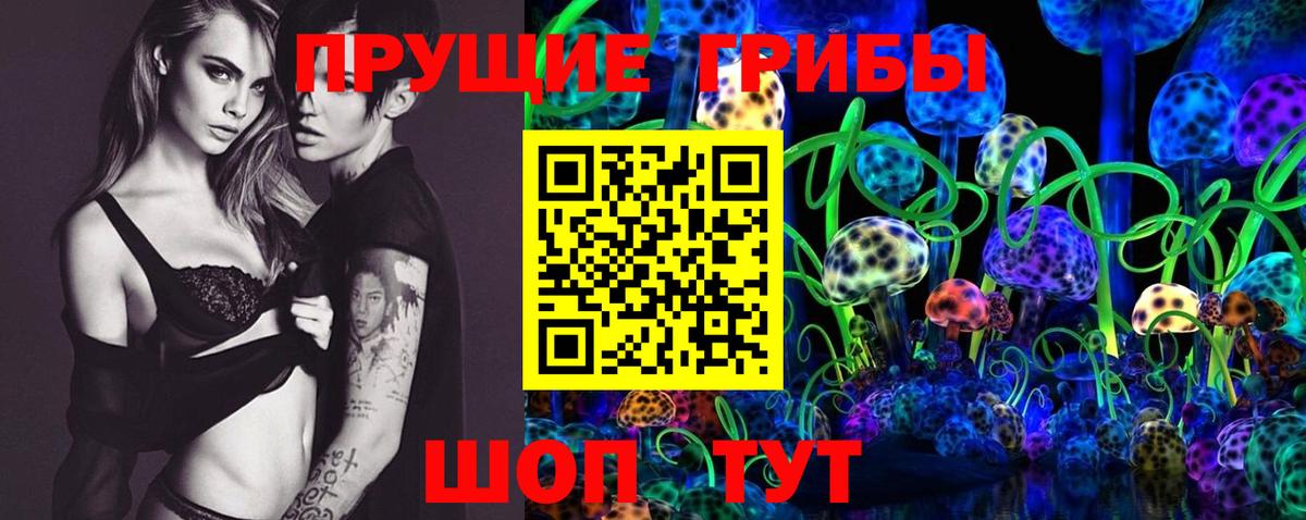 Псилоцибиновые грибы Psilocybe Шебекино