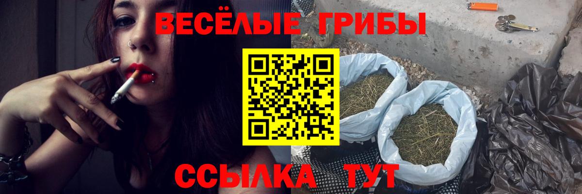 Шебекино  Псилоцибиновые грибы ЛСД  Вход с VPN 